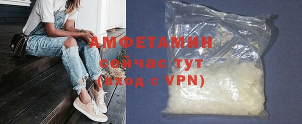 шишки Бородино
