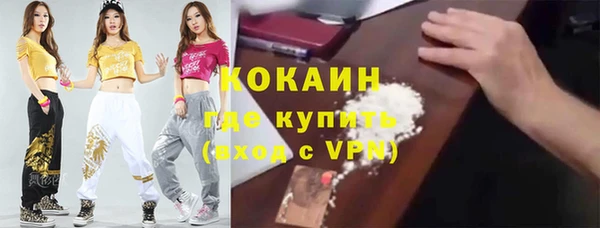 шишки Бородино