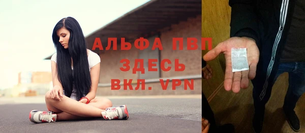 шишки Бородино