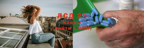 шишки Бородино