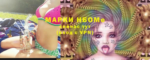 шишки Бородино