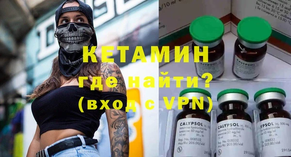 шишки Бородино