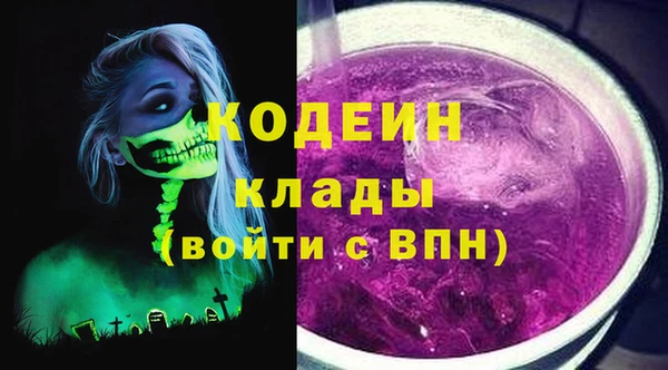 шишки Бородино