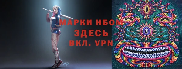 шишки Бородино