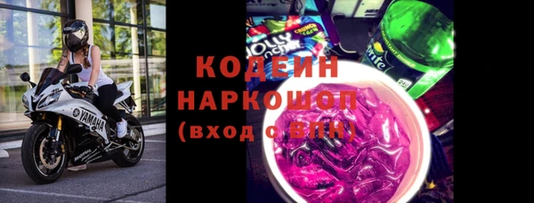 шишки Бородино