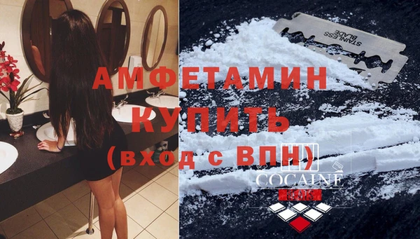 шишки Бородино