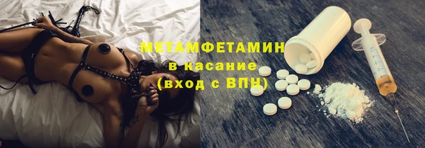 шишки Бородино