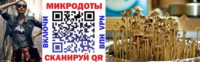 Псилоцибиновые грибы Cubensis  купить наркотики сайты  Каменск-Уральский 